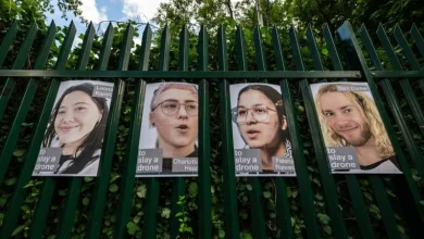 Four UK pro-Palestinian activists jailed over raid at Israeli firm Elbit