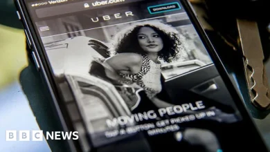 From butterflies to breast milk, Uber's list of lost items reveals wild backseat discoveries