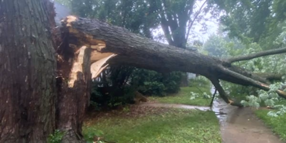 GALLERY: Strong winds, power outages across eastern Iowa