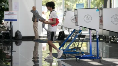 Here’s What NYC Early Voting Numbers Show