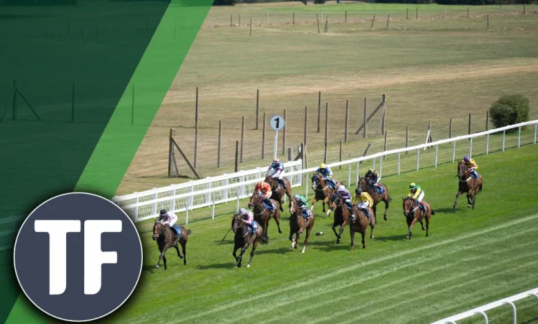 Horse Racing Tips: Timeform’s Tuesday Shouts At Salisbury include a 9/2 Shout