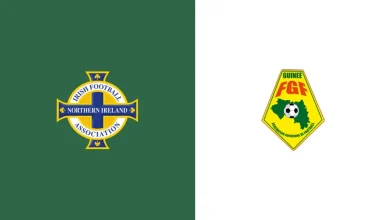 How to watch today's Northern Ireland vs Guinea Friendlies game: Live stream, TV channel, and start time