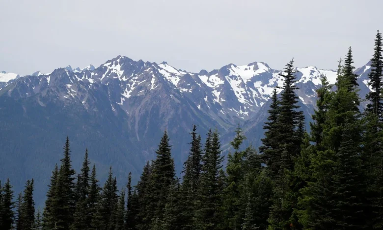 Human remains found in sleeping bag in national park identified after 26 years