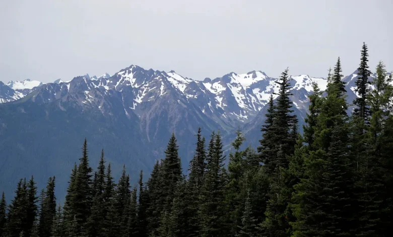 Human remains found in sleeping bag in national park identified 26 years later
