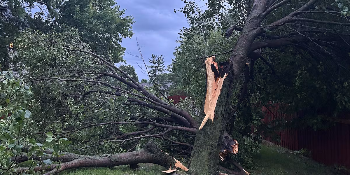Hundreds lose power across southeast Nebraska after Thursday morning storm