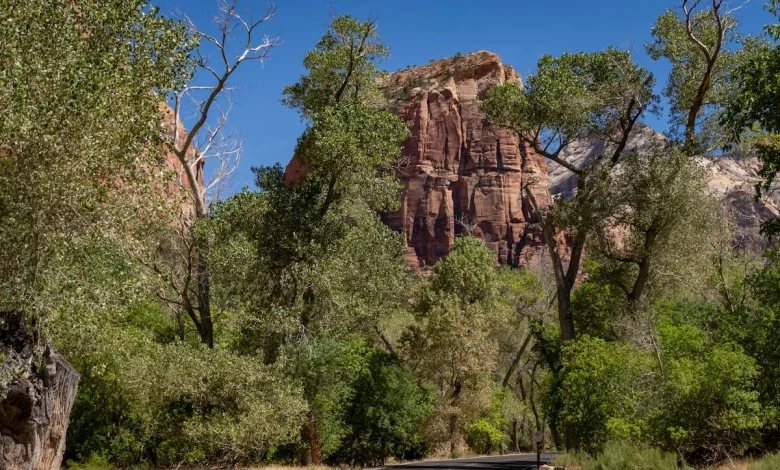 Husband arrested in Angels Landing death of wife found dead
