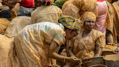 Inside the gold-mining town where the Ebola outbreak likely started