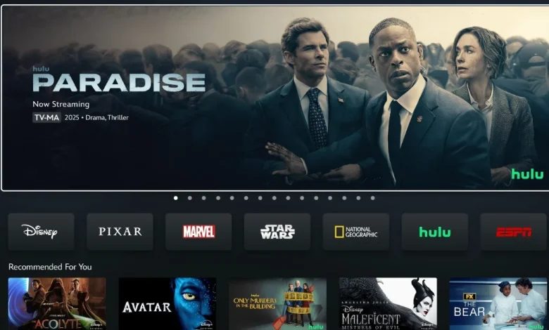 Is It The End of Hulu? Disney+/Hulu Merger, Explained