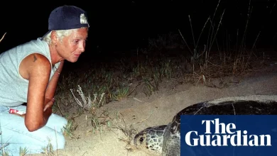Israeli attack kills famed turtle sanctuary ecologist in Lebanon