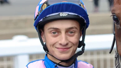 Jack Dace conscious and taken to hospital as his mount suffers fatal injury in mid-race melee