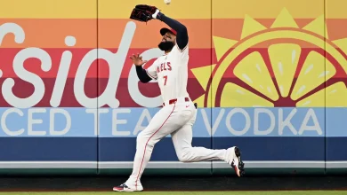 Jo Adell Traverses The Entirety Of The Fielding Experience