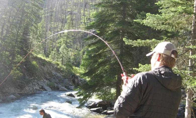 June 16, 2026 Spring/Summer Chinook Update