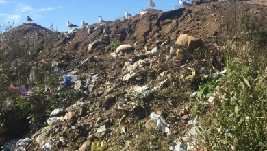 LETTER: City should hold public consultation on landfill