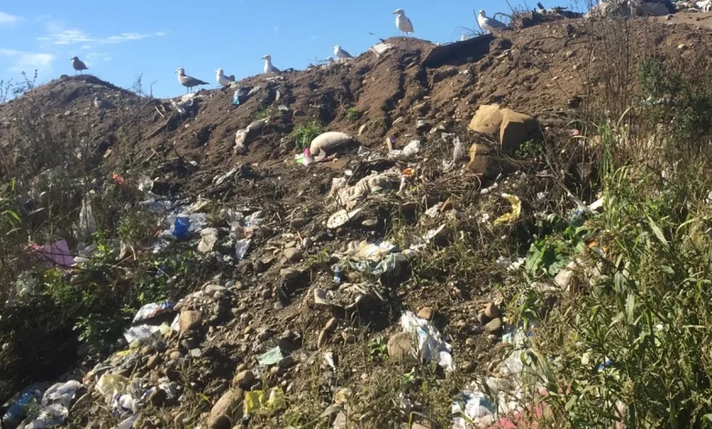 LETTER: City should hold public consultation on landfill