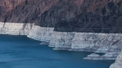 Lake Mead, Colorado River are headed for ‘system crash,’ top experts say | Environment