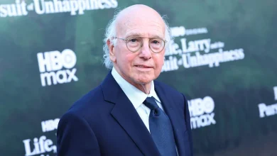 Larry David slams Donald Trump's White House UFC event