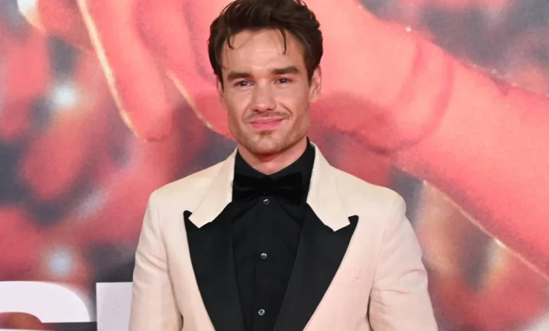 Liam Payne's Son Named Sole Inheritor of Singer's $29 Million Estate
