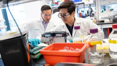 Lilly strikes Ascidian deal worth up to $1.9B for RNA editing in kidney diseases
