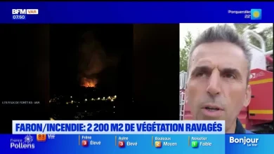 L'invité de Bonjour Var du jeudi 11 juin 2026 - Franck Graciano