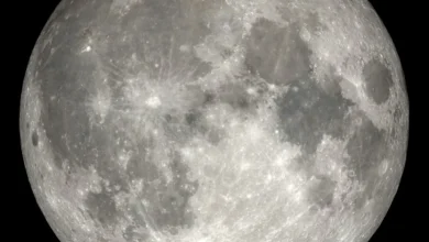 Look up Monday evening for the full strawberry moon