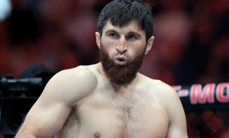 Magomed Ankalaev, Umar Nurmagomedov get opponents for UFC Abu Dhabi headliners