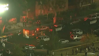 Man, twin 10-year-old boys dead in apparent murder-suicide in Canoga Park, police say