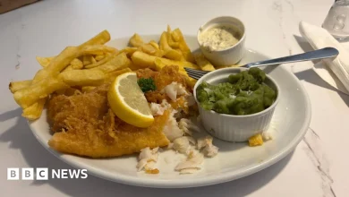 'Massive increase' in cod prices - but 'fanatics' refuse to order new species