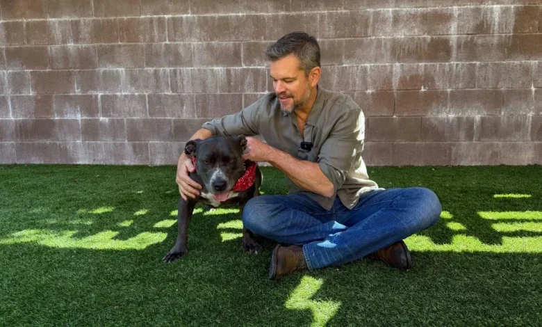 Matt Damon Wants To Help Find A Home For Pittie Waiting At Shelter For 2 Years