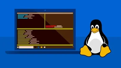 Microsoft’s new developer-optimized Windows embraces Linux even more