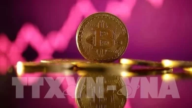 Ministry proposes allowing SMEs to use digital assets as collateral for bank loans