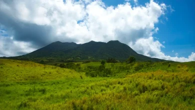 Missing cruise ship visitor found dead in St. Kitts and Nevis