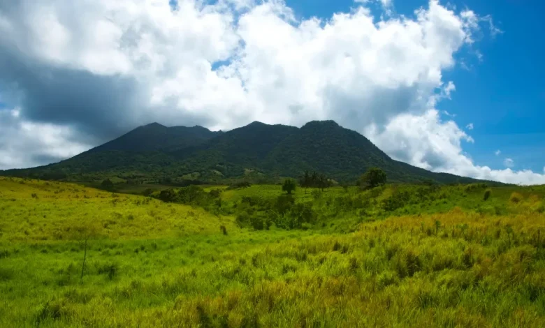 Missing cruise ship visitor found dead in St. Kitts and Nevis