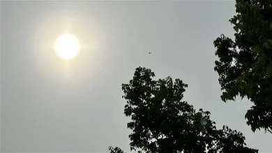 Montreal to see hot start to weekend before rain moves in
