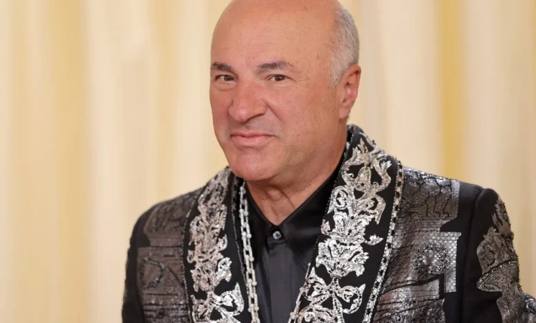 Mr. Wonderful Is Wounded in the Battle Over His Massive Utah Data Center