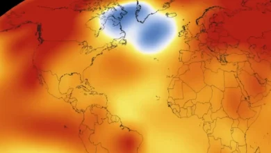 Mysterious ‘cold blob’ in the Atlantic suggests the AMOC is weakening