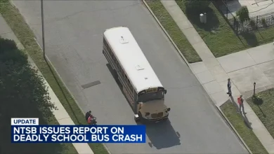 NTSB releases report on school bus crash that killed boy in Gibbstown, NJ