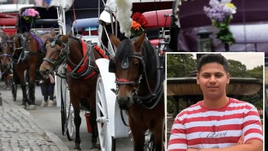 NYC bill to ban horse carriages to be renamed for teen killed in Central Park crash
