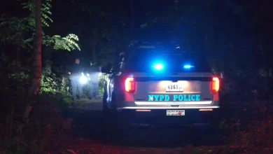 NYC storms: Man killed by falling tree in Queens during storm in Richmond Hill