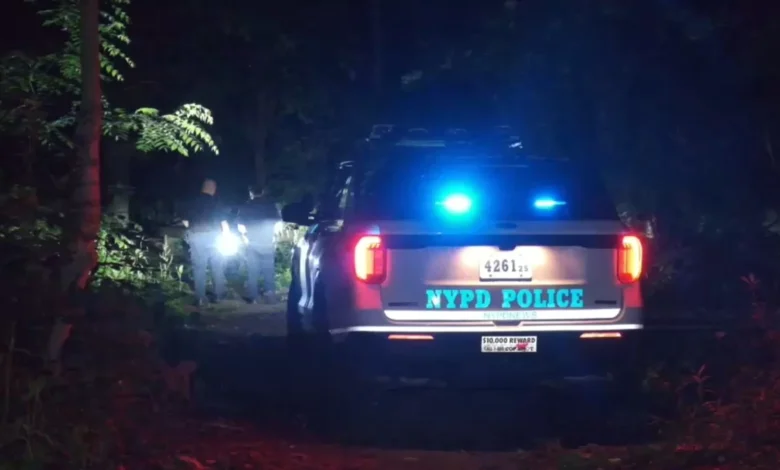 NYC storms: Man killed by falling tree in Queens during storm in Richmond Hill