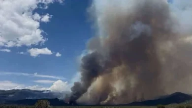New, small wildfires reported across Utah
