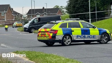 Newry: Five-year-old girl dies after collision with van