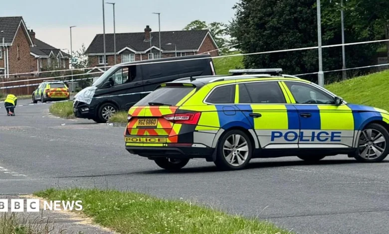 Newry: Five-year-old girl dies after collision with van