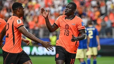 Niederlande gegen Schweden 2:0 (Halbzeit): Kein Tor!!! Schwedens Tor wird aberkannt.