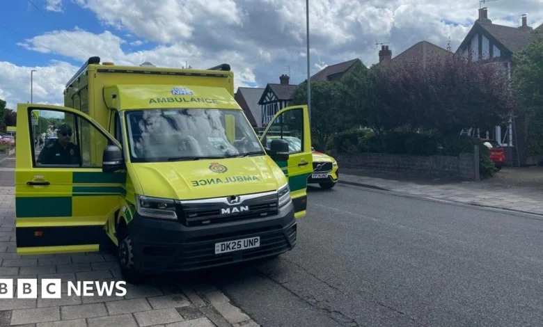 Nine Jesse Gray school children taken to hospital after eating seeds