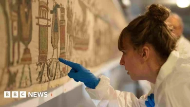'Nothing left to chance' for Bayeux Tapestry's journey to London