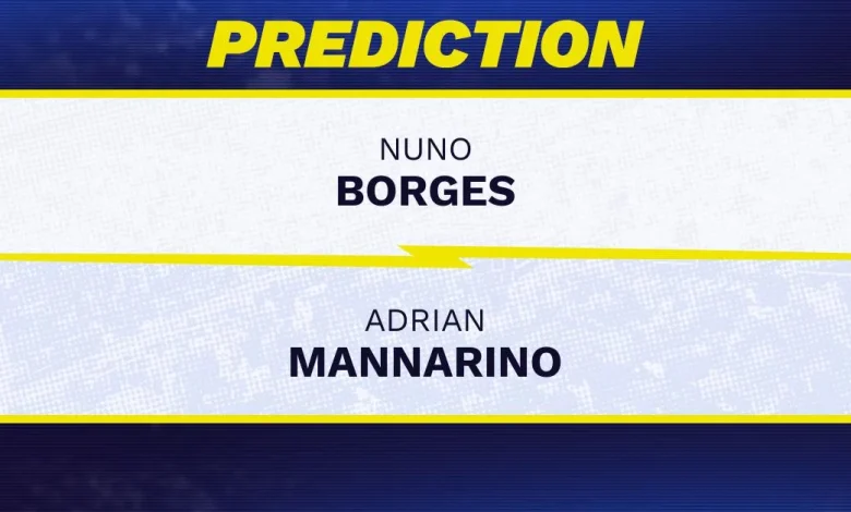 Nuno Borges vs. Adrian Mannarino prediction, odds, picks for ATP Mallorca Open 2026