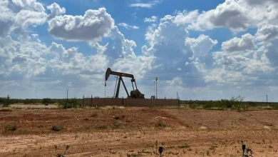 Oil prices fall to seven-week low as Iran and Israel halt attacks