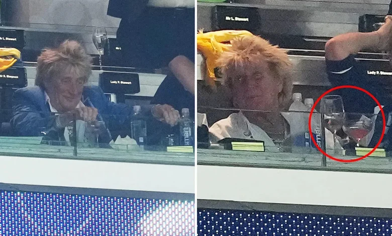 Outrage as Rod Stewart seen drinking at Scotland game — after canceling CA show just 40 minutes before it was set to begin