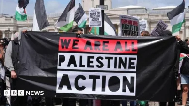 Palestine Action ban is lawful, Court of Appeal rules