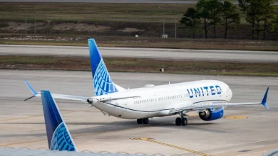 Passenger used suspected fake boarding pass to sneak onto United flight, forcing plane back to gate, authorities say